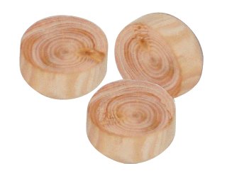 Suky větvové- smrk